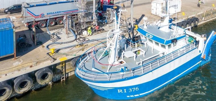 Fiskekutter losser industrifisk RI 376 Victory